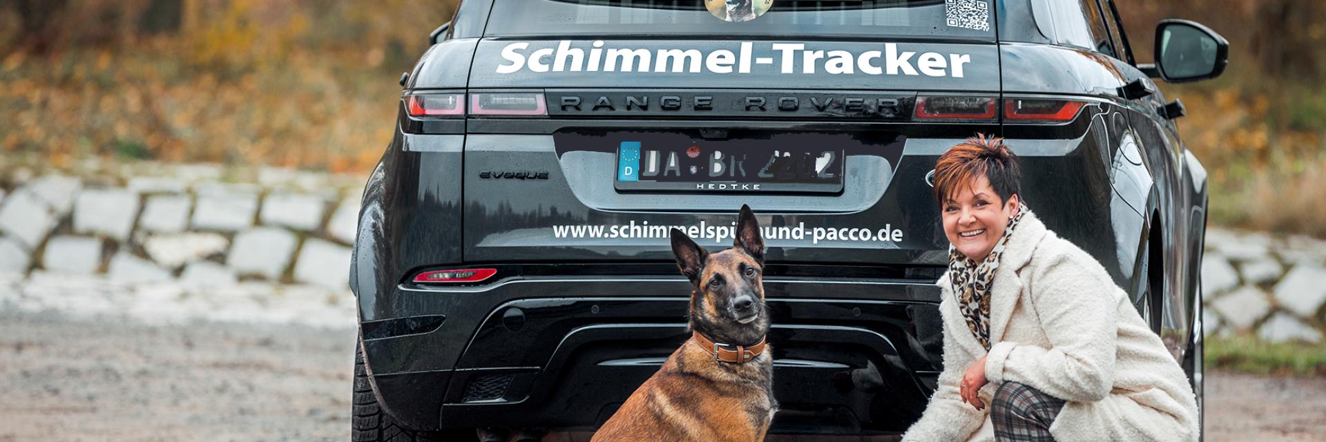 Schimmel-Tracker - Griesheimer Gewerbeverein